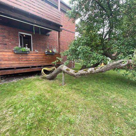 Ferienwohnung Am Kirschenbaum Steinhude Eksteriør billede